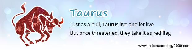 Taurus Traits Man