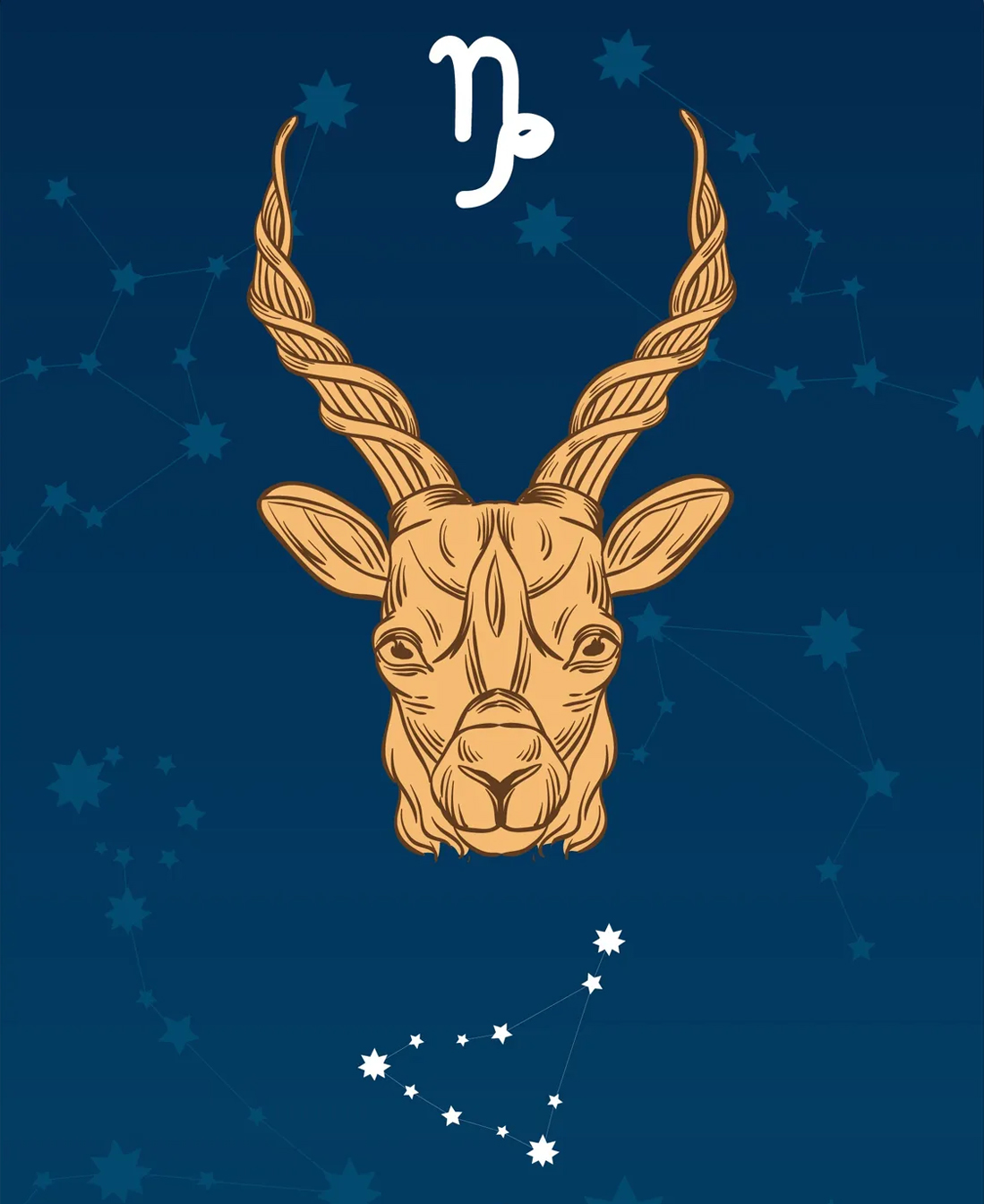 capricorn Sign