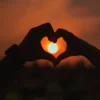 Love Transit Report