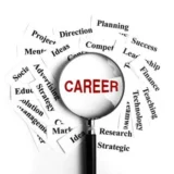 Career Analysis Report