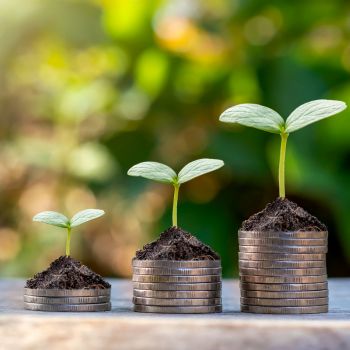 Detailed D2 Financial Report