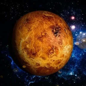 Natal Venus Report