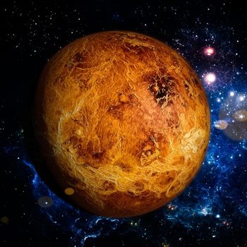 Natal Venus Report