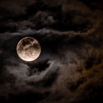 Moon Fortune Reading