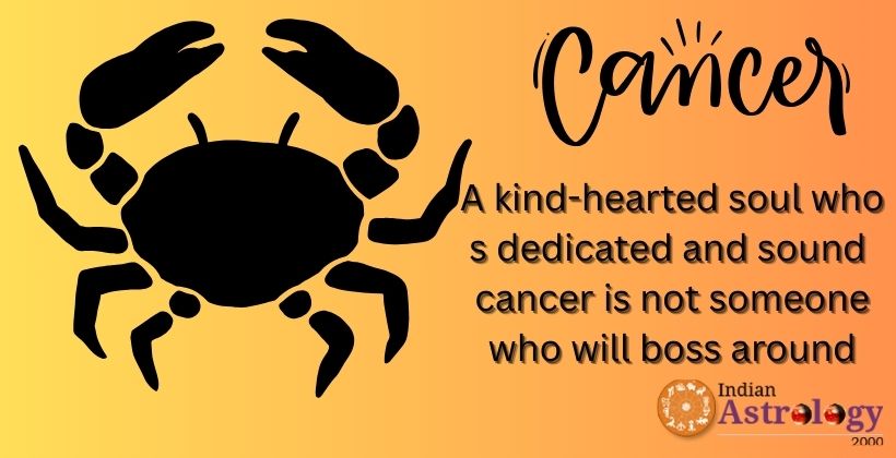 Cancer Boss