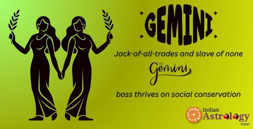 Gemini Boss