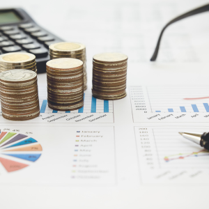 Your Financial Prospects over the next 12 months