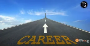 Virgo Suitable Job