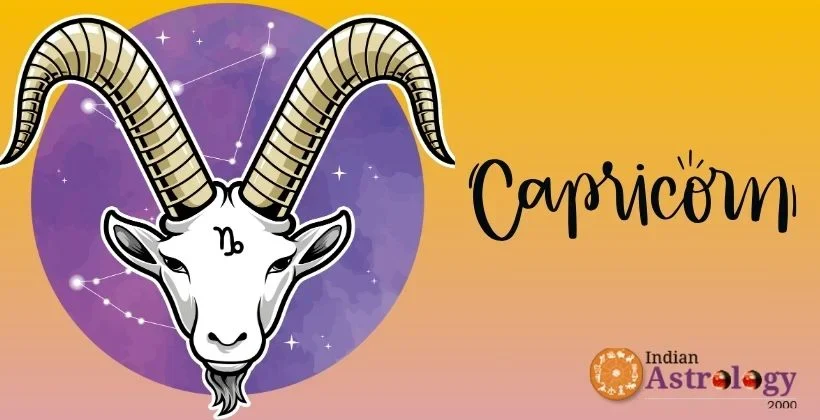 Capricorn Boss