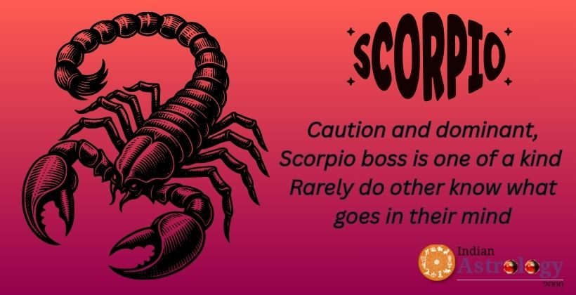 Scorpio Boss Scorpio Boss
