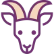Capricorn
